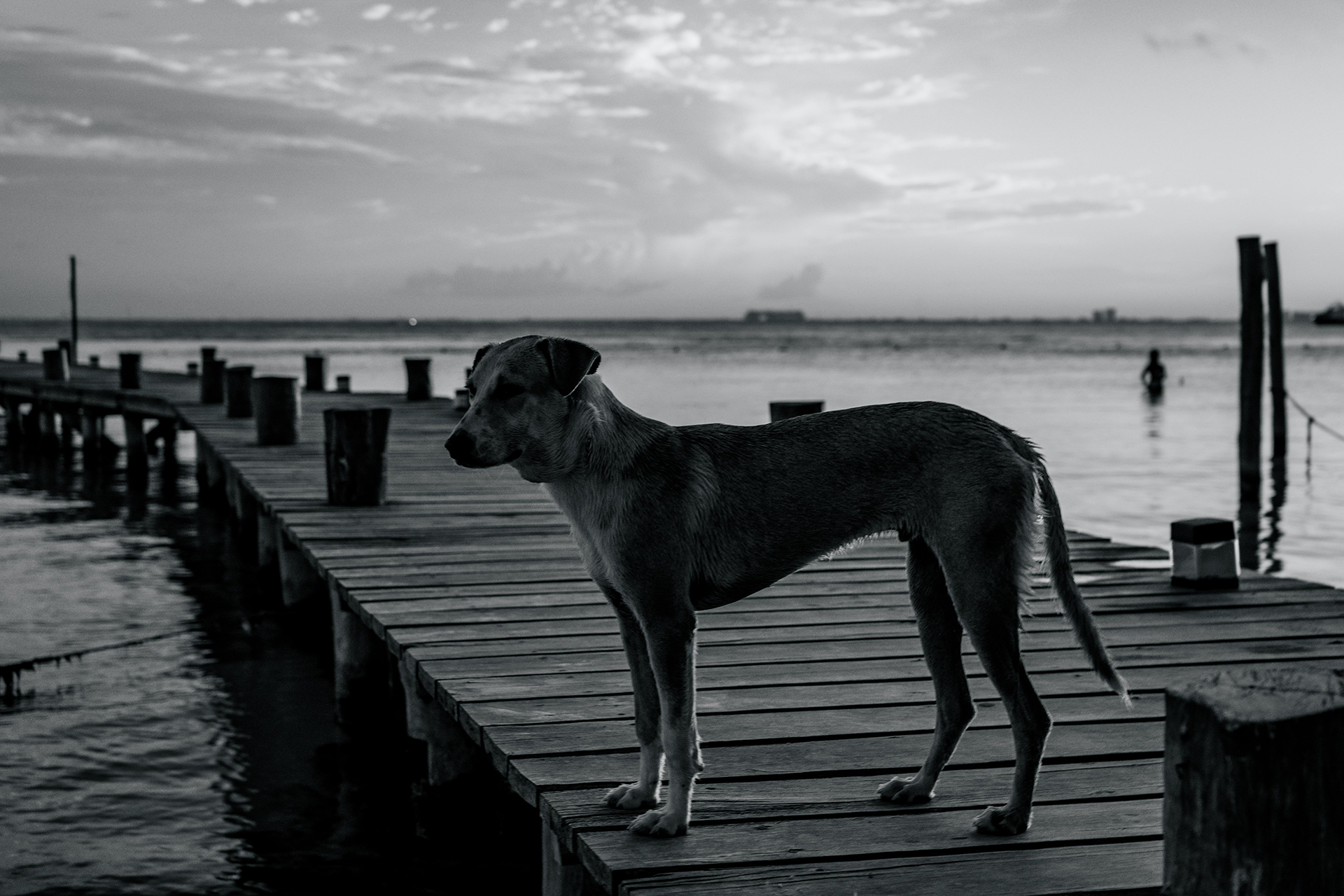 Sky Cancún by UOIEA Studio